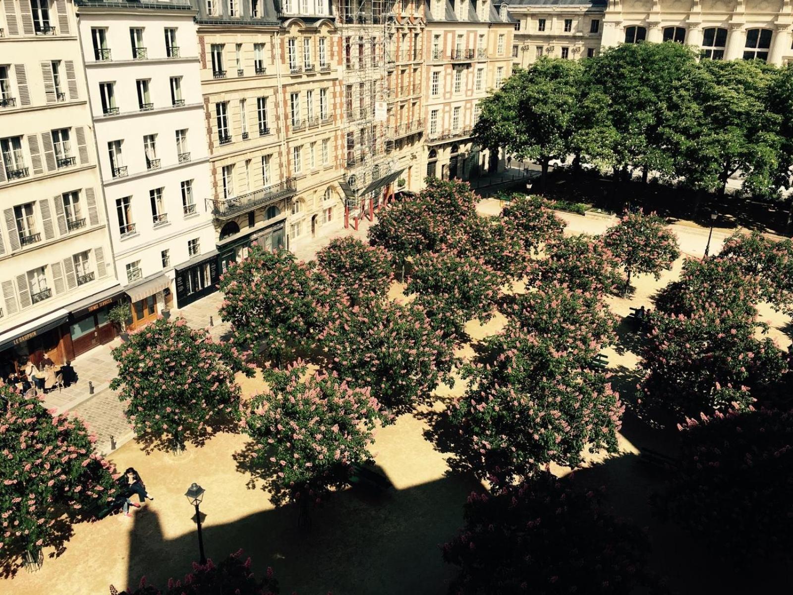 Place Dauphine Apartment *